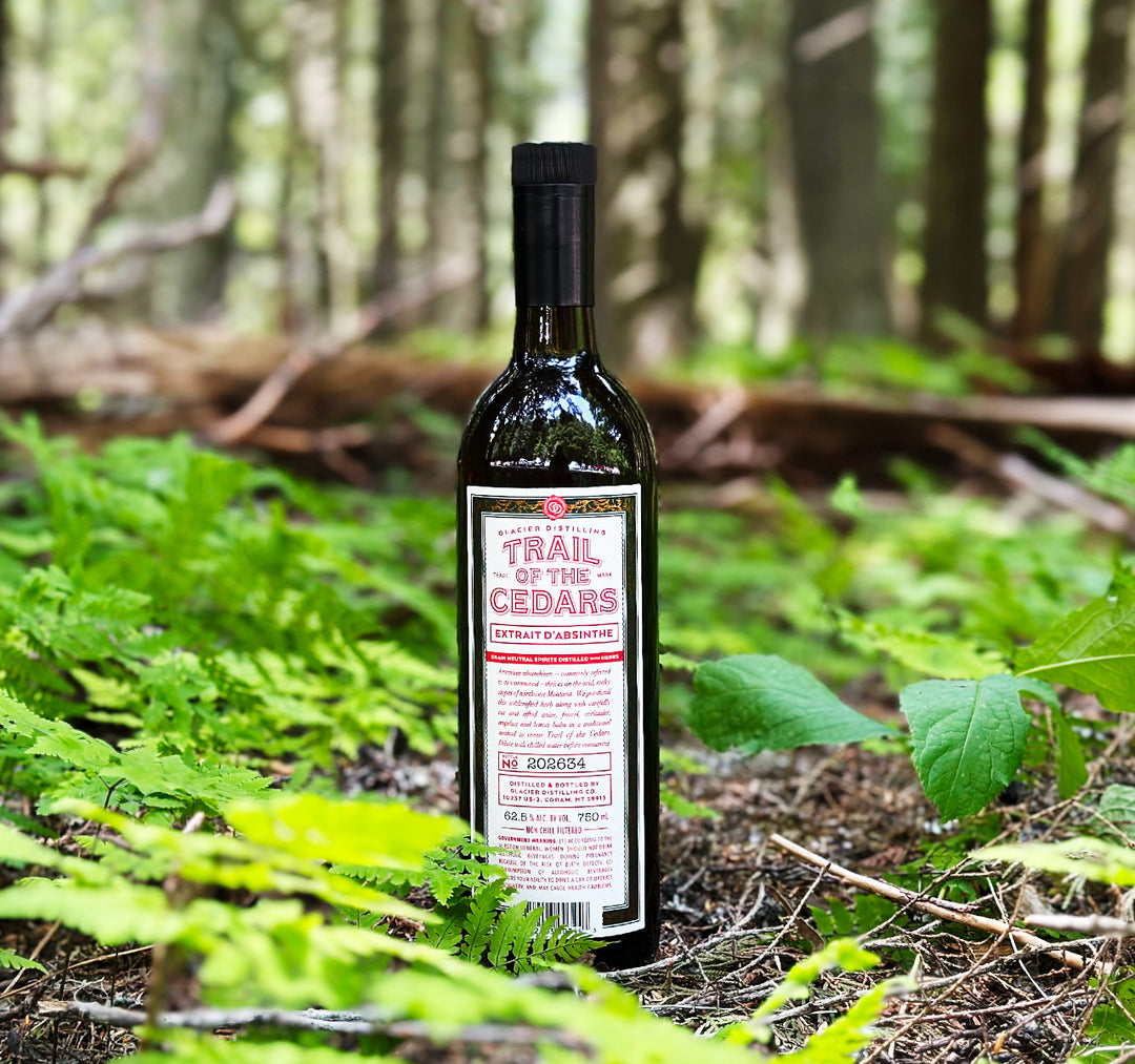 Glacier Trail of the Cedars Absinthe